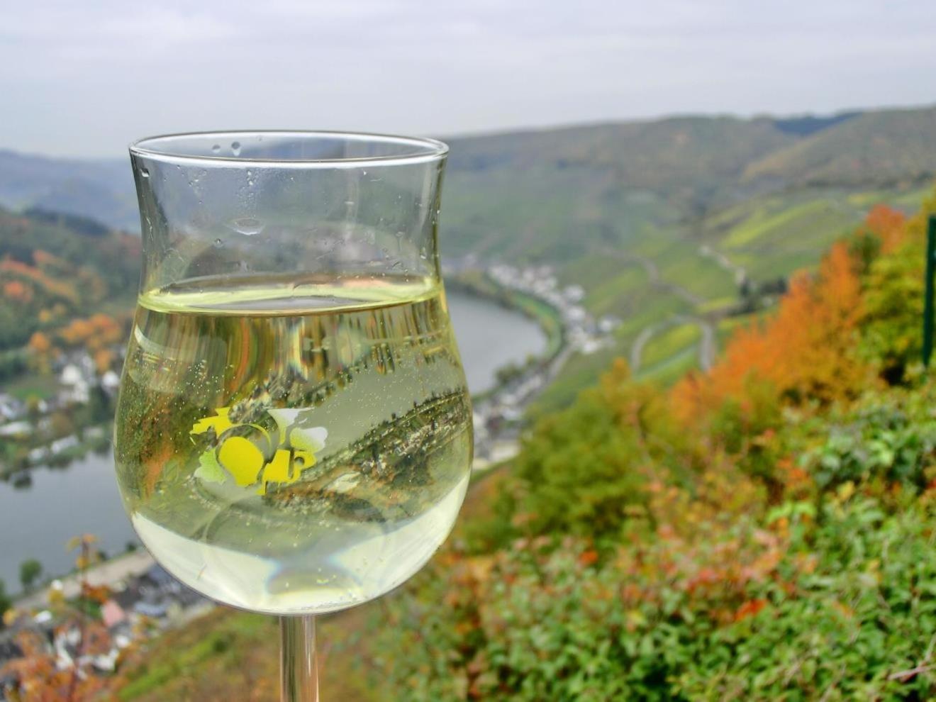 Mosel Ferienhaus Zell 외부 사진